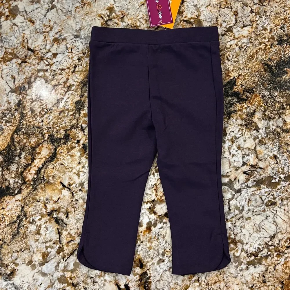 NWT Gymboree Pink & Purple W/Applique Flower Striped Top & Ponte Pants - 18-24M